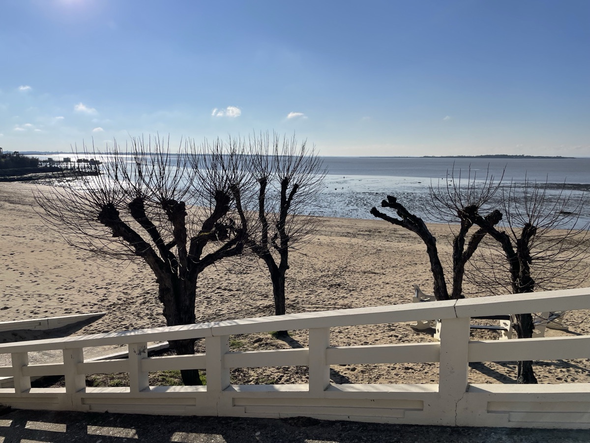 Vue sur l'estuaire depuis la plage